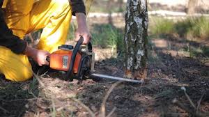 Best Lawn Grading and Leveling  in Green Bay, WI
