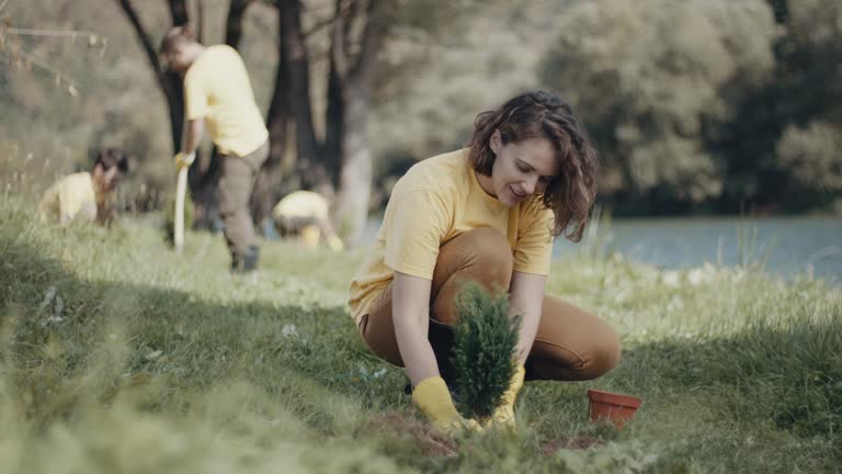 Best Lawn Pest Prevention  in Green Bay, WI