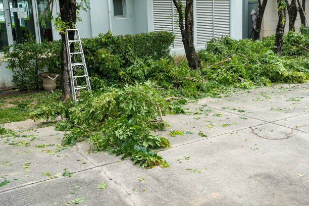 Best Leaf Removal  in Green Bay, WI